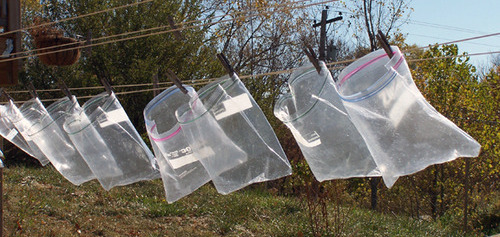 9 Ways You Can Reuse The Shein Plastic Ziploc Bags That Are Lying Around  Your Home